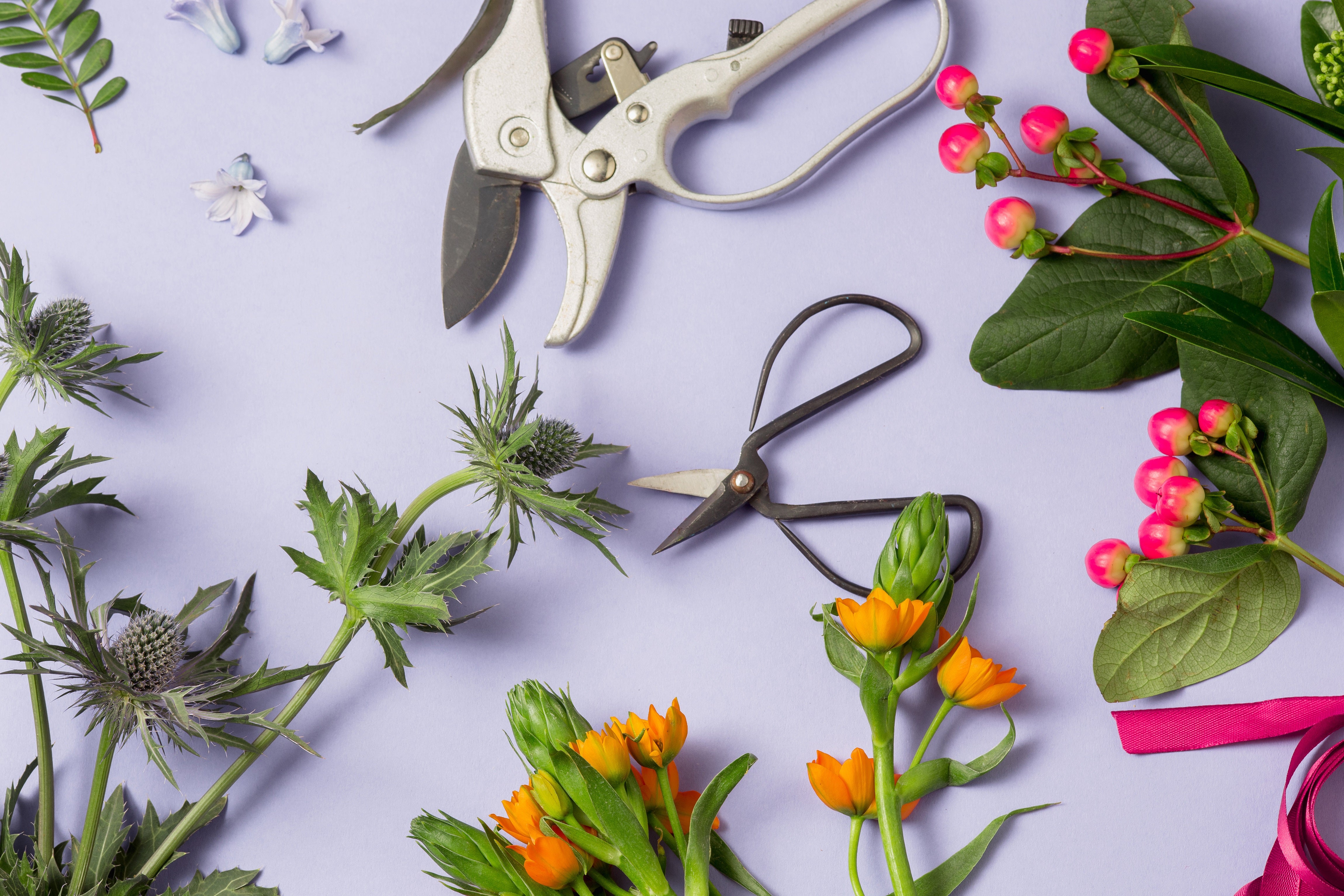 How to care for your flowers?
